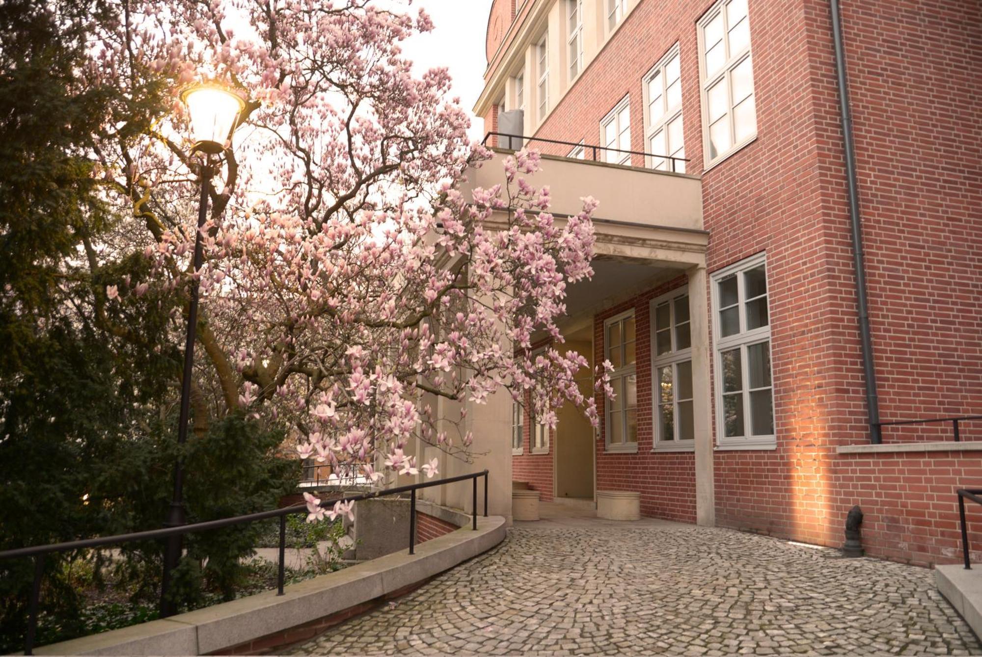 Rooms In Historic Heart Of Wroclaw Bagian luar foto